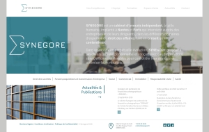 Synegore page d'accueil