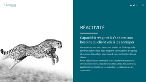 Refonte Site Synegore Slideshow Home Reactivite