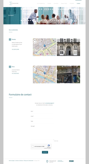Synegore page Contact