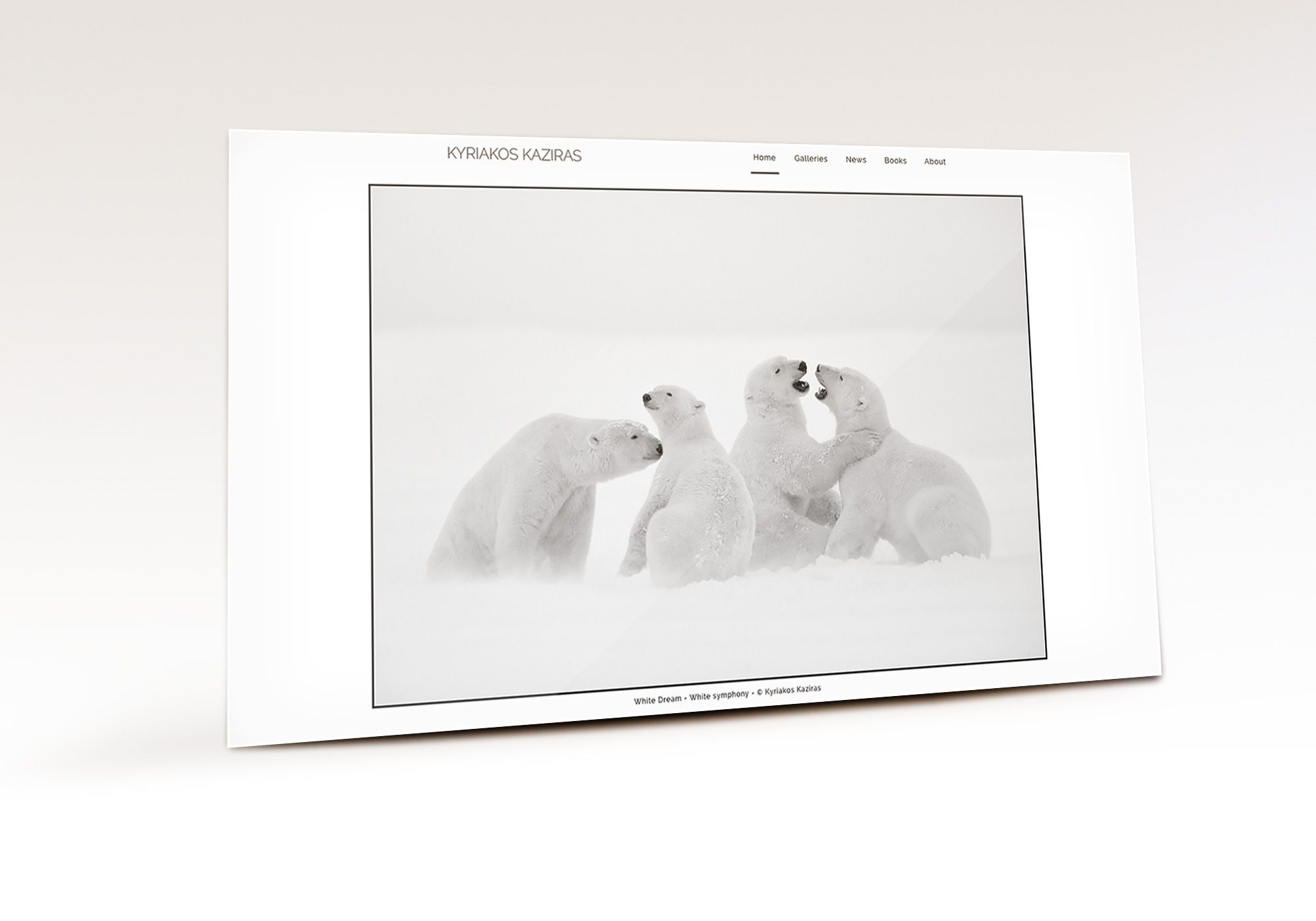 Site portfolio élégant et minimaliste réalisé par la Manufacture Parisienne de Sites Internet pour le photographe animalier Kyriakos Kaziras