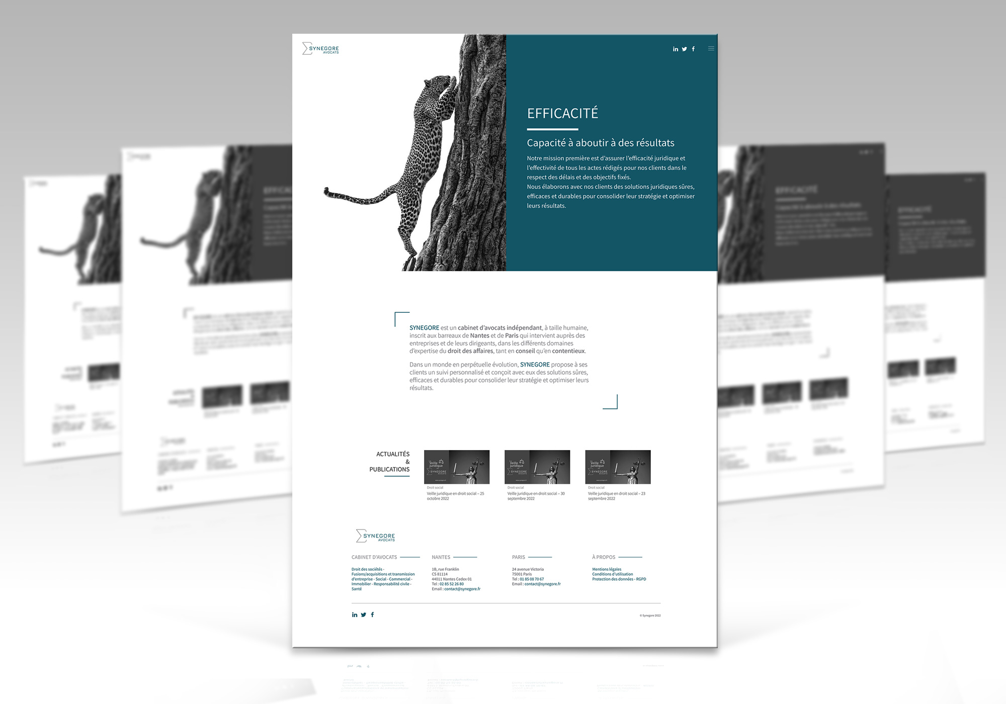 Refonte du Site du cabinet d'avocats Synegore